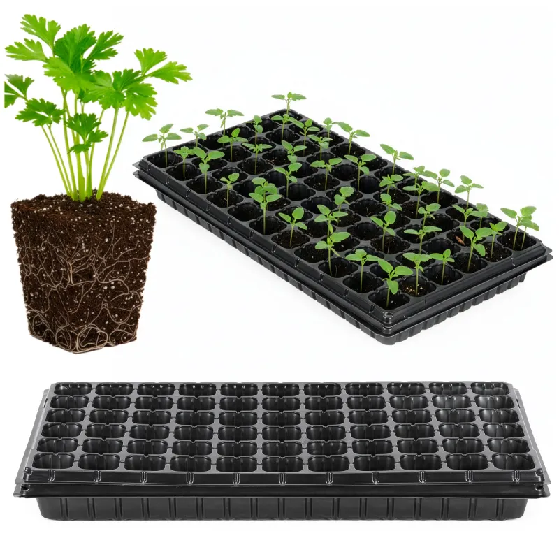 Multisection tray GA0221 52.5 x 31.5 cm
